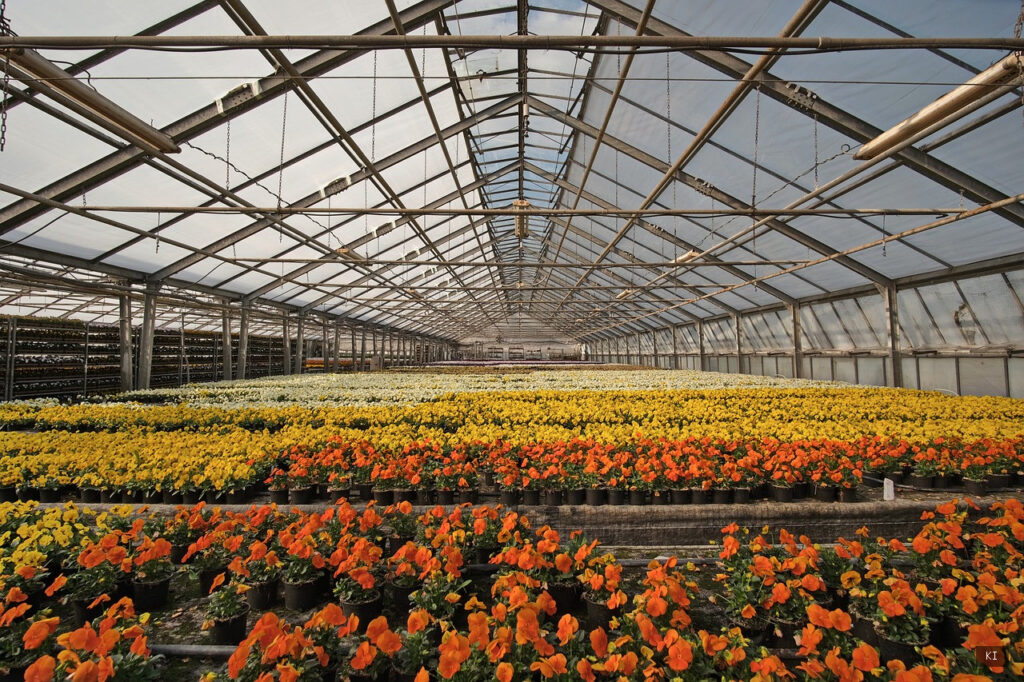 Der perfekte Partner für deinen Garten: Entscheidungshilfe
