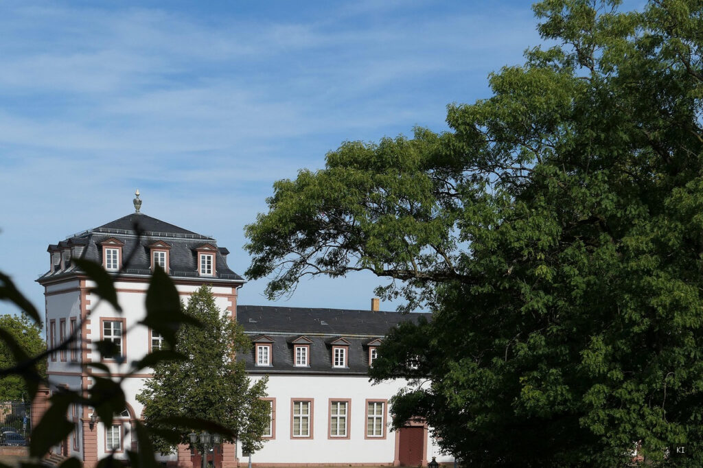 Warum dein Lymphsystem der unterschätzte Held deines Alltags ist